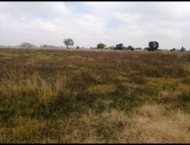 12HA SMALLHOLDING FOR SALE IN BREDELL